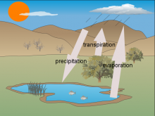 Rose's Water Cycle