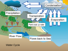 Andrew Water Cycle