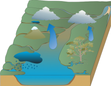 Gary Wang Water Cycle Save Number Two! (GWWCSNT)
