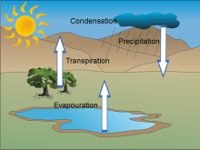 The water Cycle