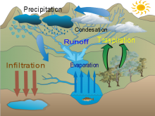 The Water Cycle of a Fresh Water Environment