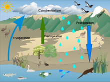 Jessica Hill Water Cycle