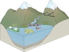 Nada's dam, wetland and reservoir