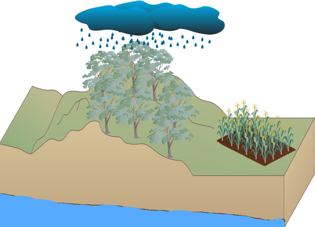 water table diagram