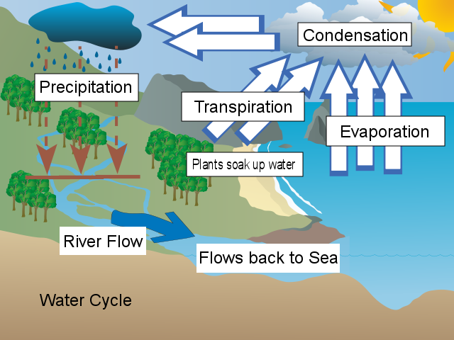 water cycle diagram labeled for teenagers