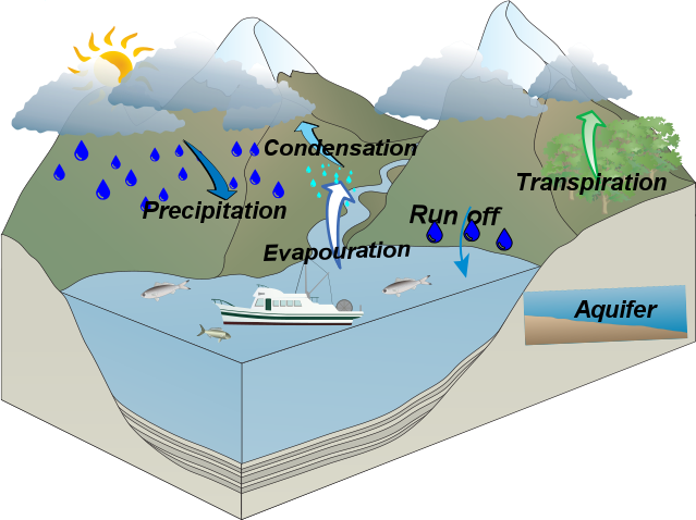 The artist view of the global water cycle and the WCOM This is the